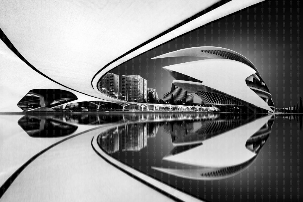 Monochrome Majesty: Queen Sofia Palace of Arts, Valencia