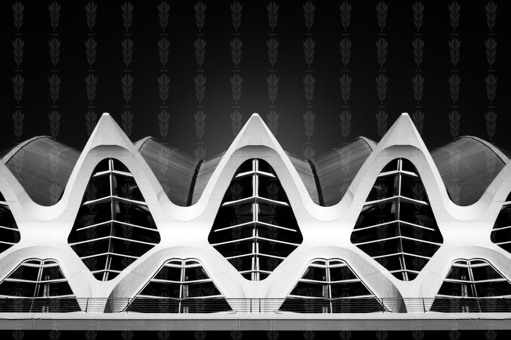 Skeleton of Light – Valencia’s Living Structure