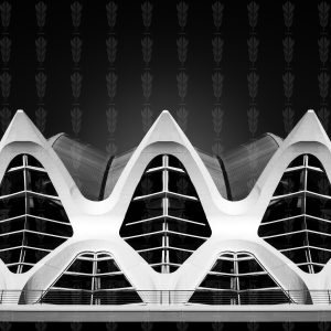 Skeleton of Light – Valencia’s Living Structure