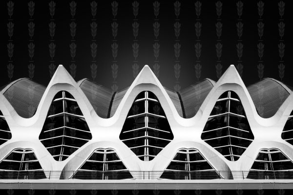 Skeleton of Light – Valencia’s Living Structure