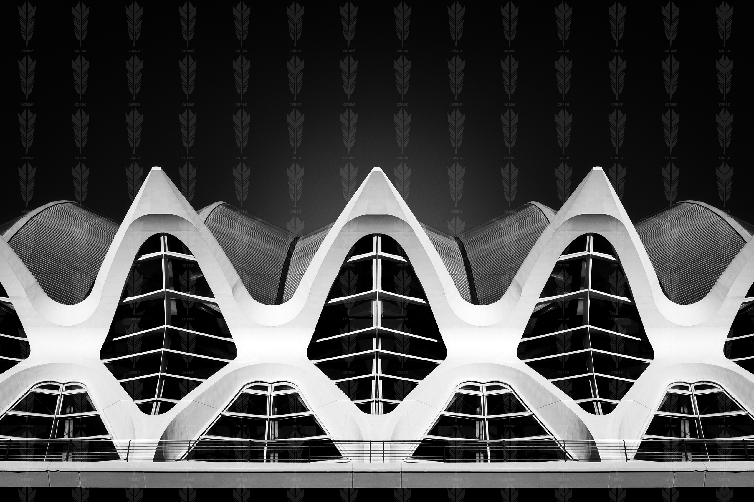 Skeleton of Light – Valencia’s Living Structure