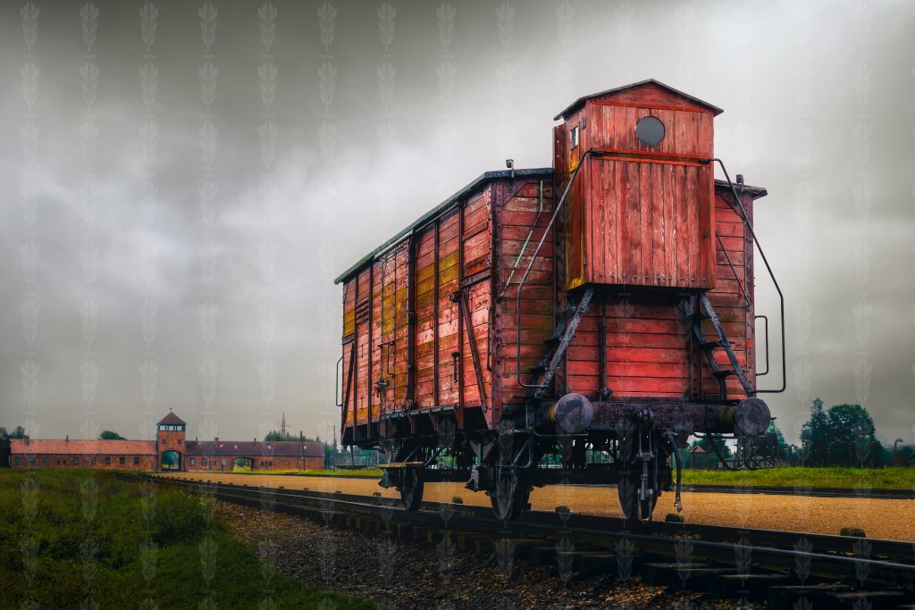 Carriage of Silence - Silence at Auschwitz