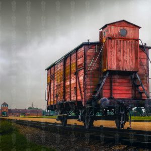 Carriage of Silence - Silence at Auschwitz