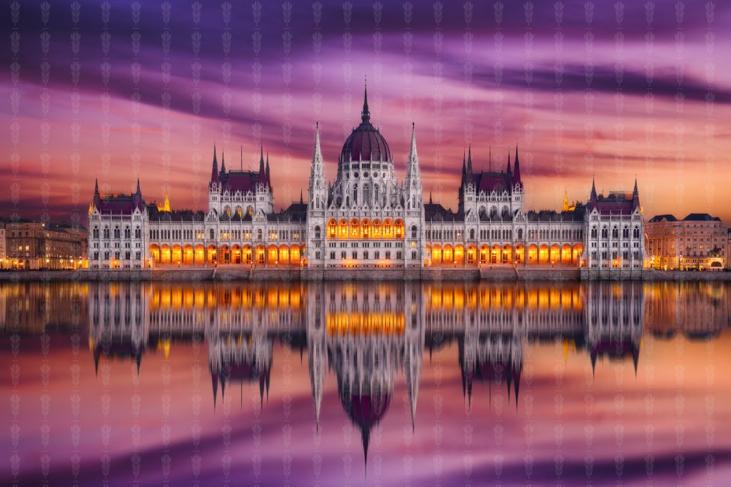 Parliament in Bloom – Twilight Reverence on the Danube