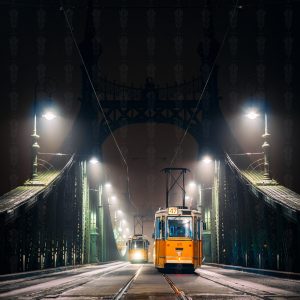 Steel Veins – Liberty Bridge, Budapest