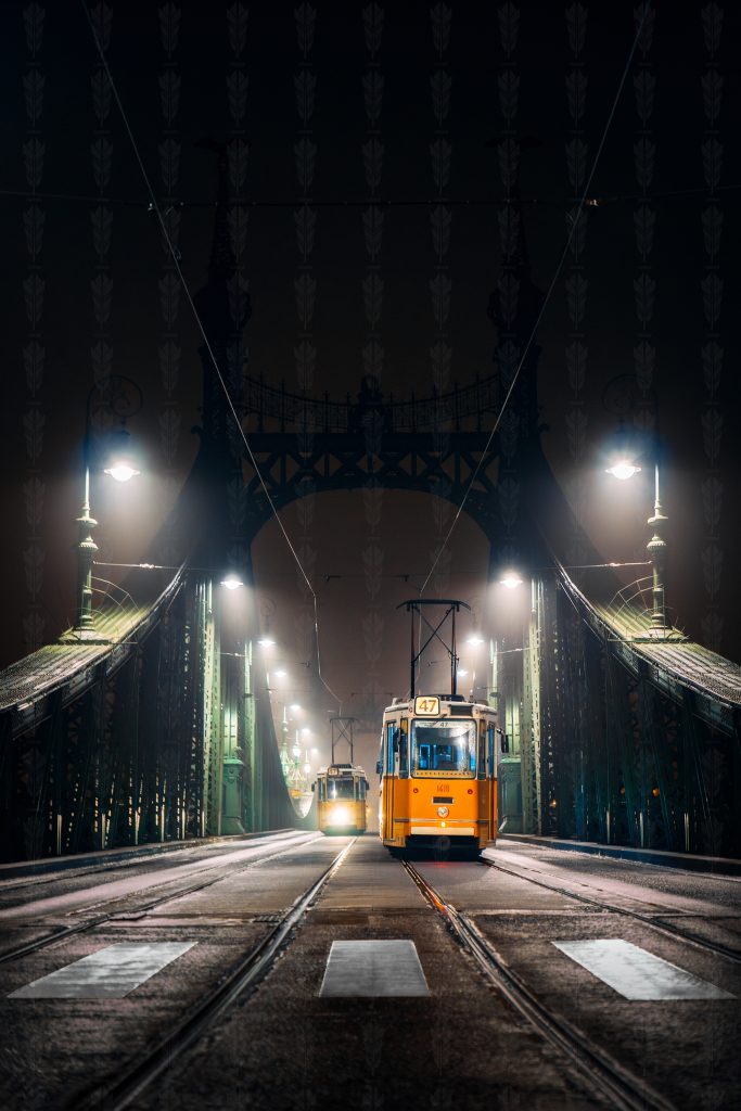 Steel Veins – Liberty Bridge, Budapest