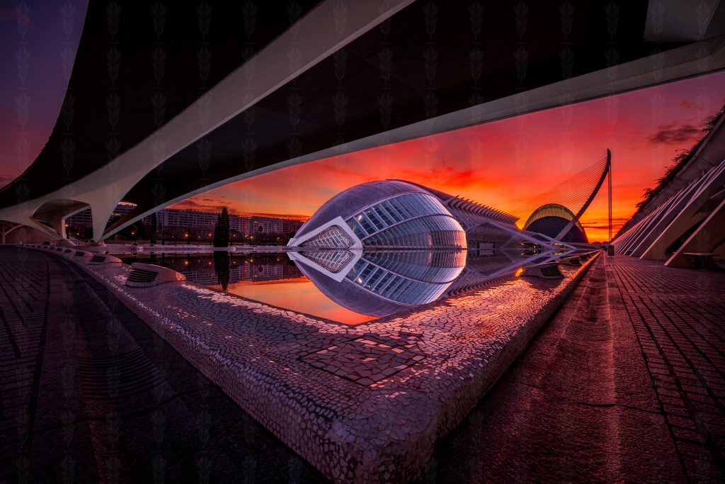 The Vessel and the Horizon – City of Arts and Sciences, Valencia
