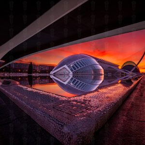 The Vessel and the Horizon – City of Arts and Sciences, Valencia