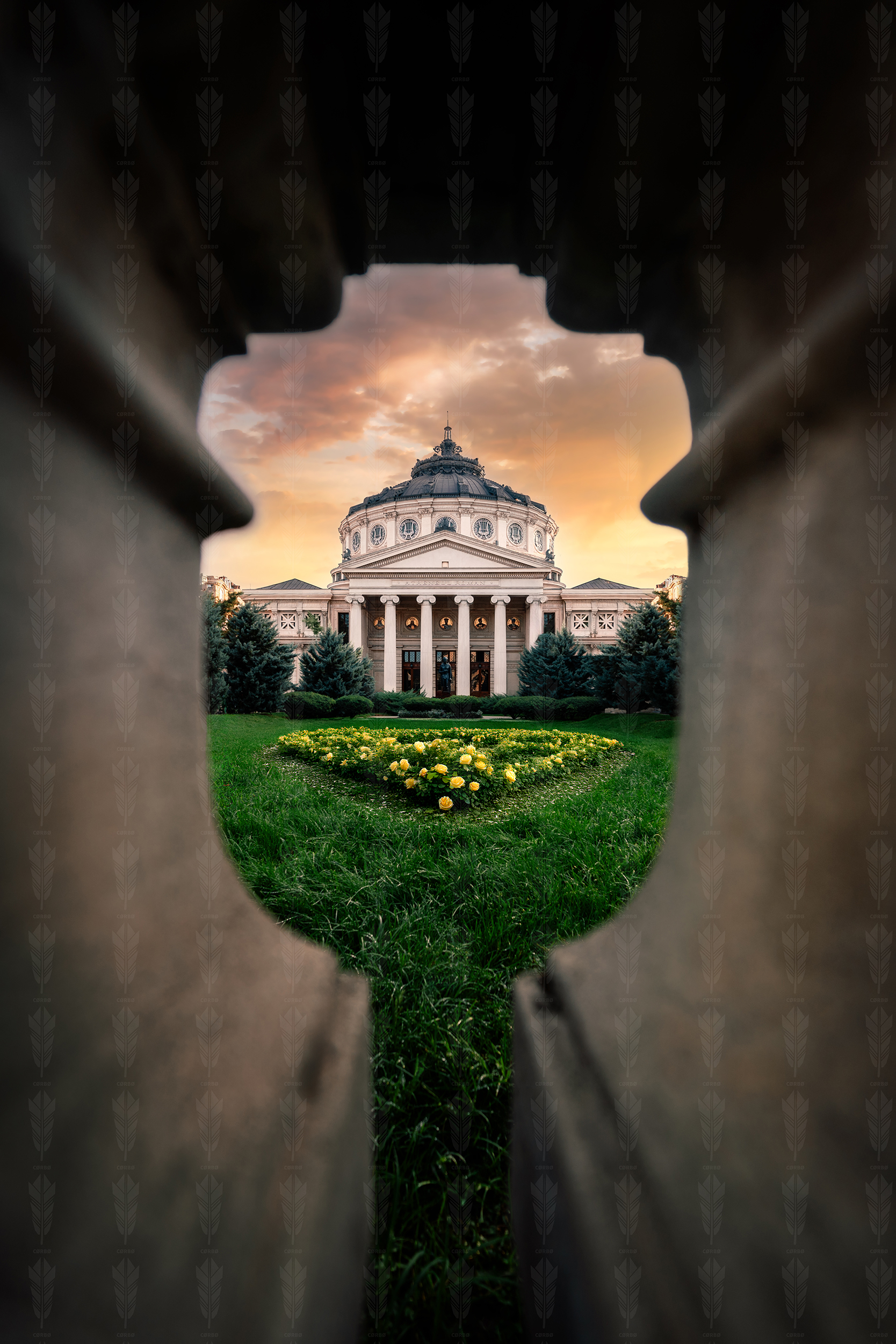 Through the Keyhole of Culture – Romanian Athenaeum, Bucharest