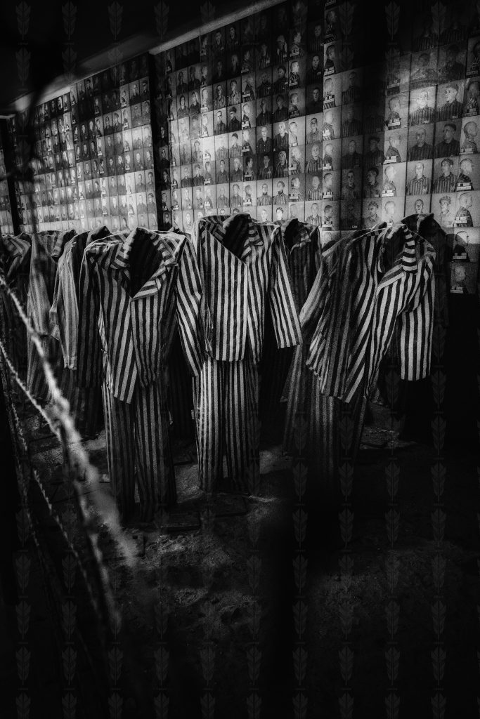 Remnants – Memory of Auschwitz