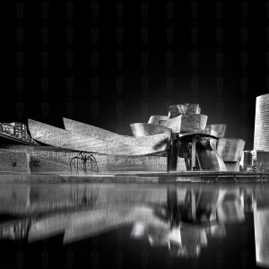 Reflections of the Future – Guggenheim Museum, Bilbao