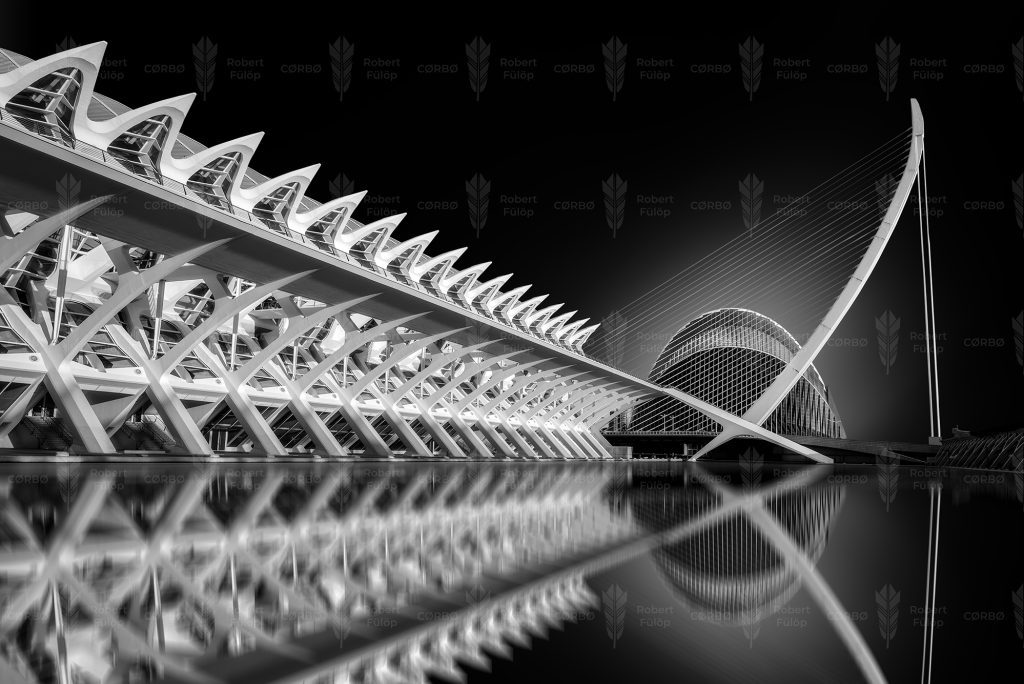 White Anatomy – City of Arts and Sciences, Valencia