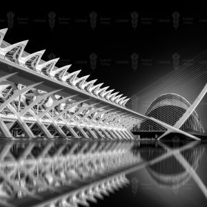 White Anatomy – City of Arts and Sciences, Valencia