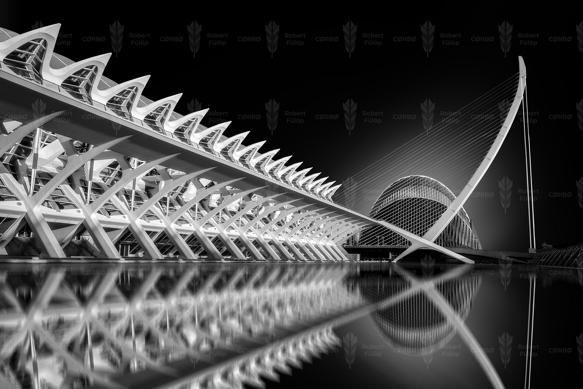 White Anatomy – City of Arts and Sciences, Valencia