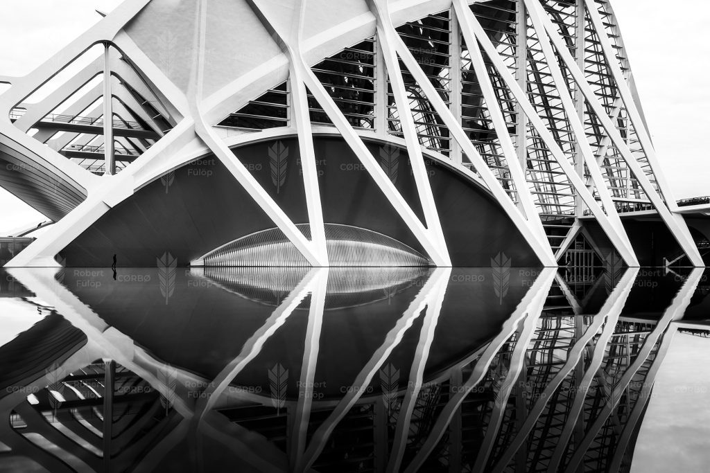 Ribs in Reflection – City of Arts and Sciences, Valencia