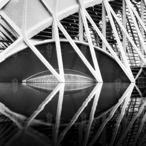 Ribs in Reflection – City of Arts and Sciences, Valencia