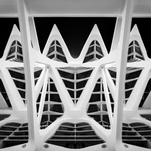 Cathedral of Steel – City of Arts and Sciences, Valencia