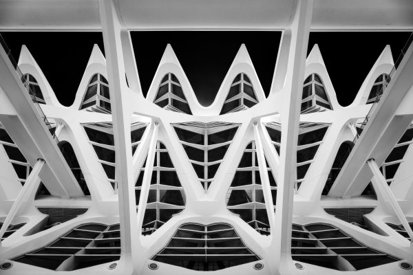 Cathedral of Steel – City of Arts and Sciences, Valencia
