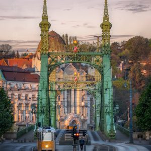 Green Steel Morning – Liberty Bridge, Budapest