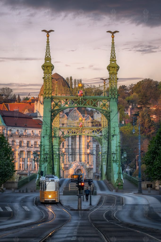 Green Steel Morning – Liberty Bridge, Budapest