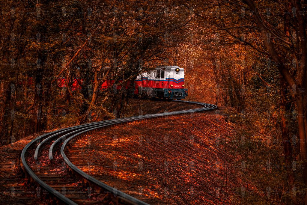Autumn Run – Budapest Children’s Railway, Budapest