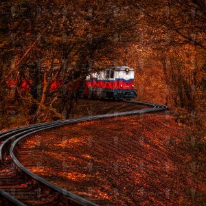 Autumn Run – Budapest Children’s Railway, Budapest